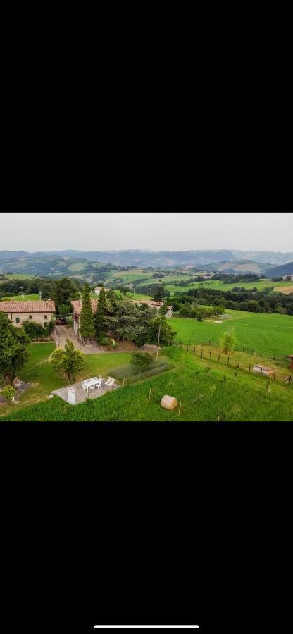 La Baita Nei Boschi Villa Serramazzoni Dış mekan fotoğraf