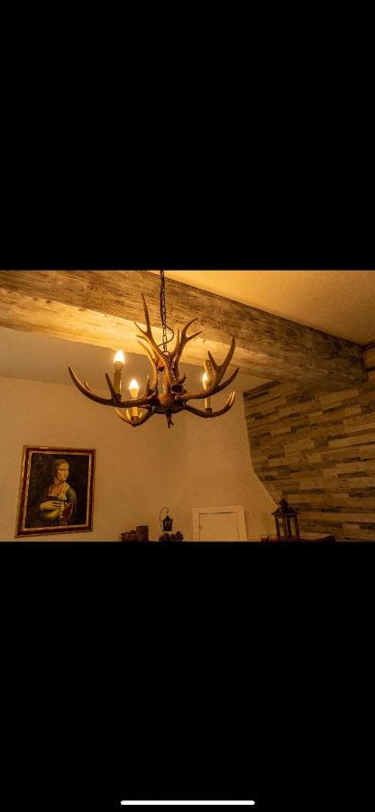 La Baita Nei Boschi Villa Serramazzoni Dış mekan fotoğraf