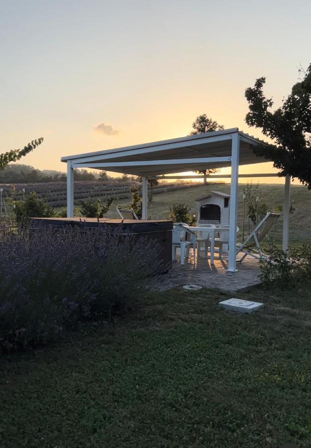 La Baita Nei Boschi Villa Serramazzoni Dış mekan fotoğraf