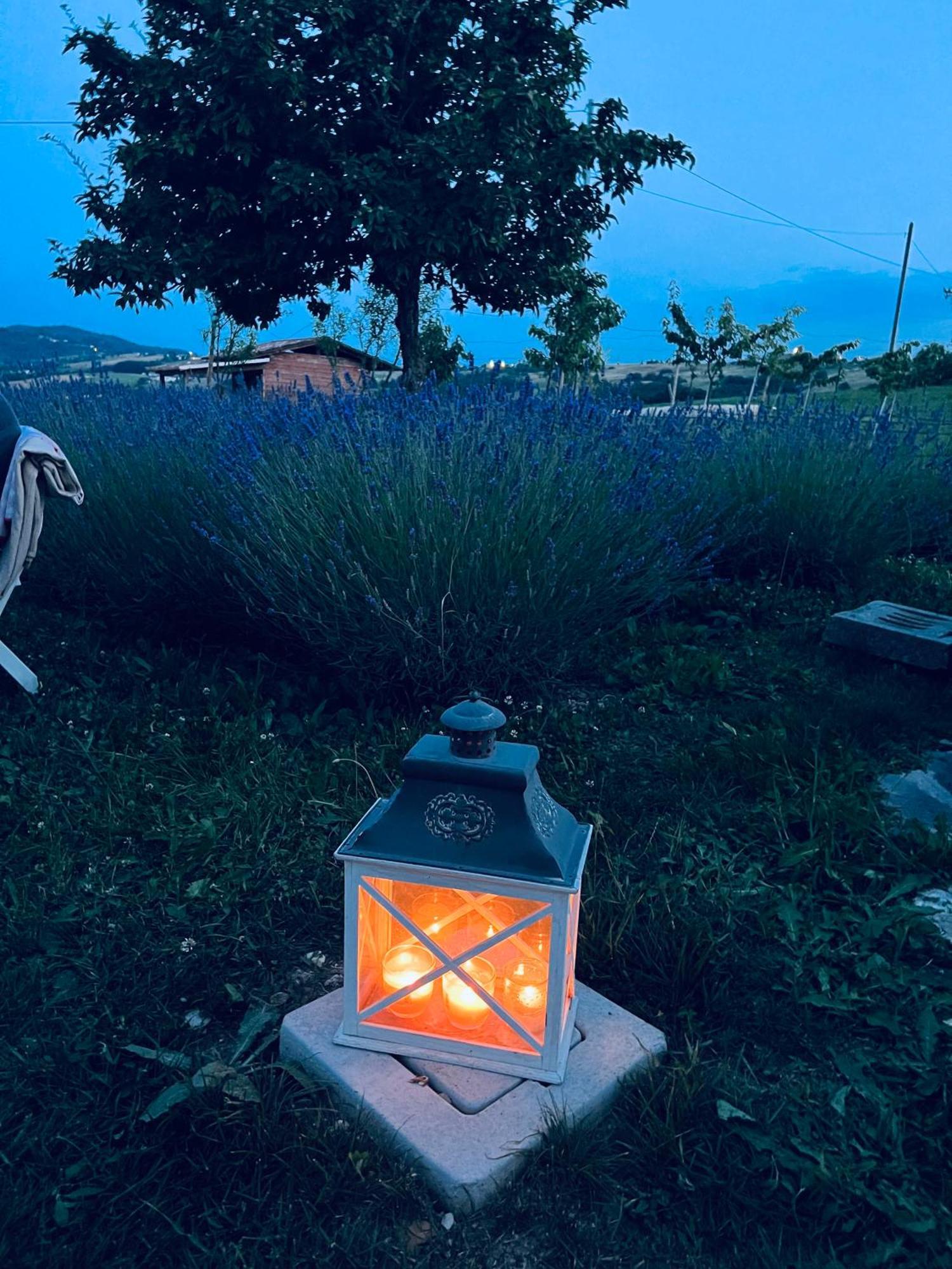La Baita Nei Boschi Villa Serramazzoni Dış mekan fotoğraf